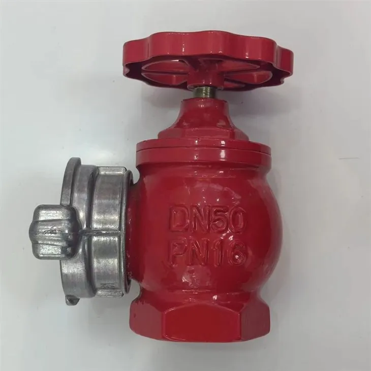 CAFIRE Indoor Fire Hydrant Pump